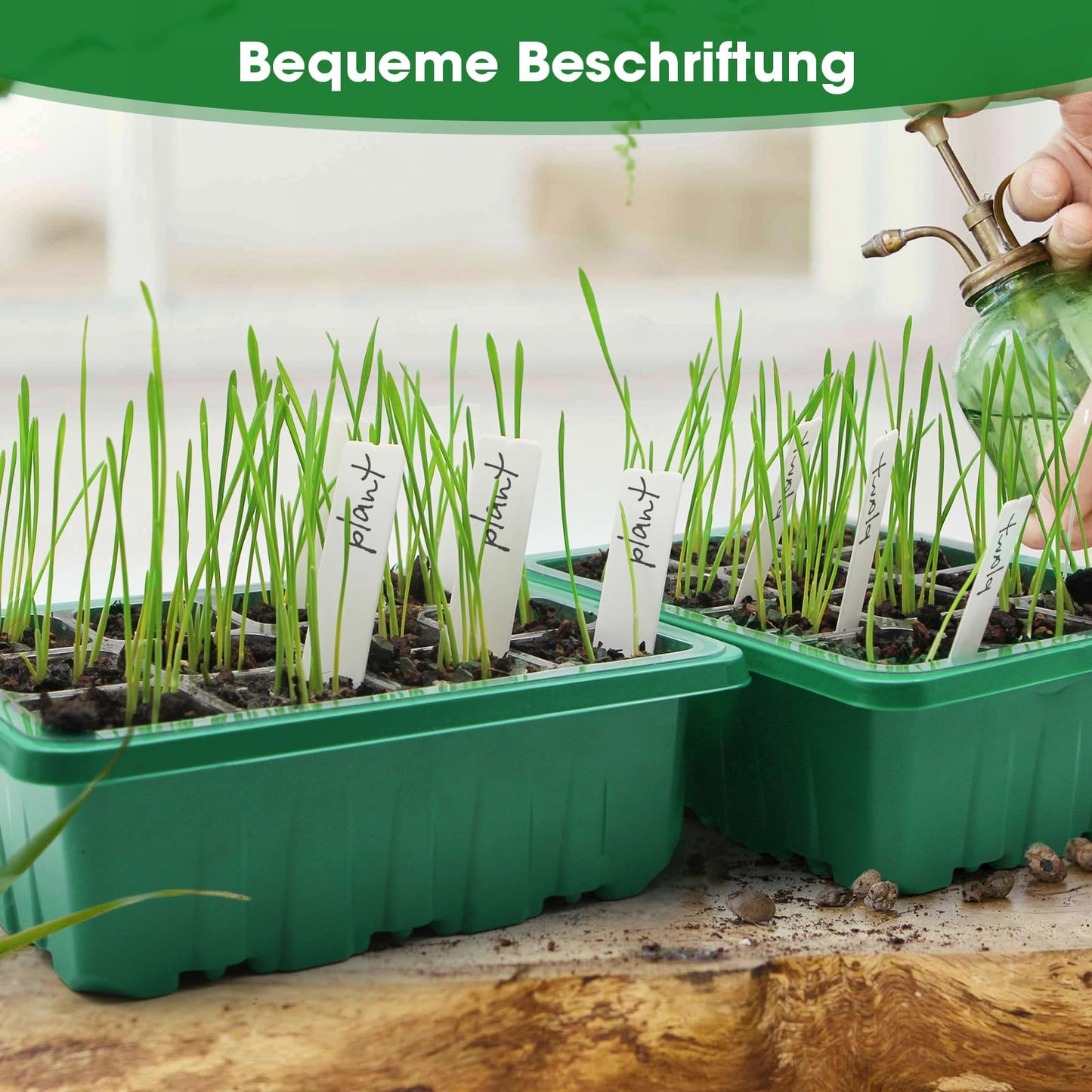 Zimmergewächshaus,5 Stück Mini Gewächshaus Anzuchtset Mit Licht, Einstellbare Helligkeit zimmergewächshaus anzuchtkasten perfekt für die Anzucht von Pflanzen,Wiederverwendbares Anzucht Gewächshaus