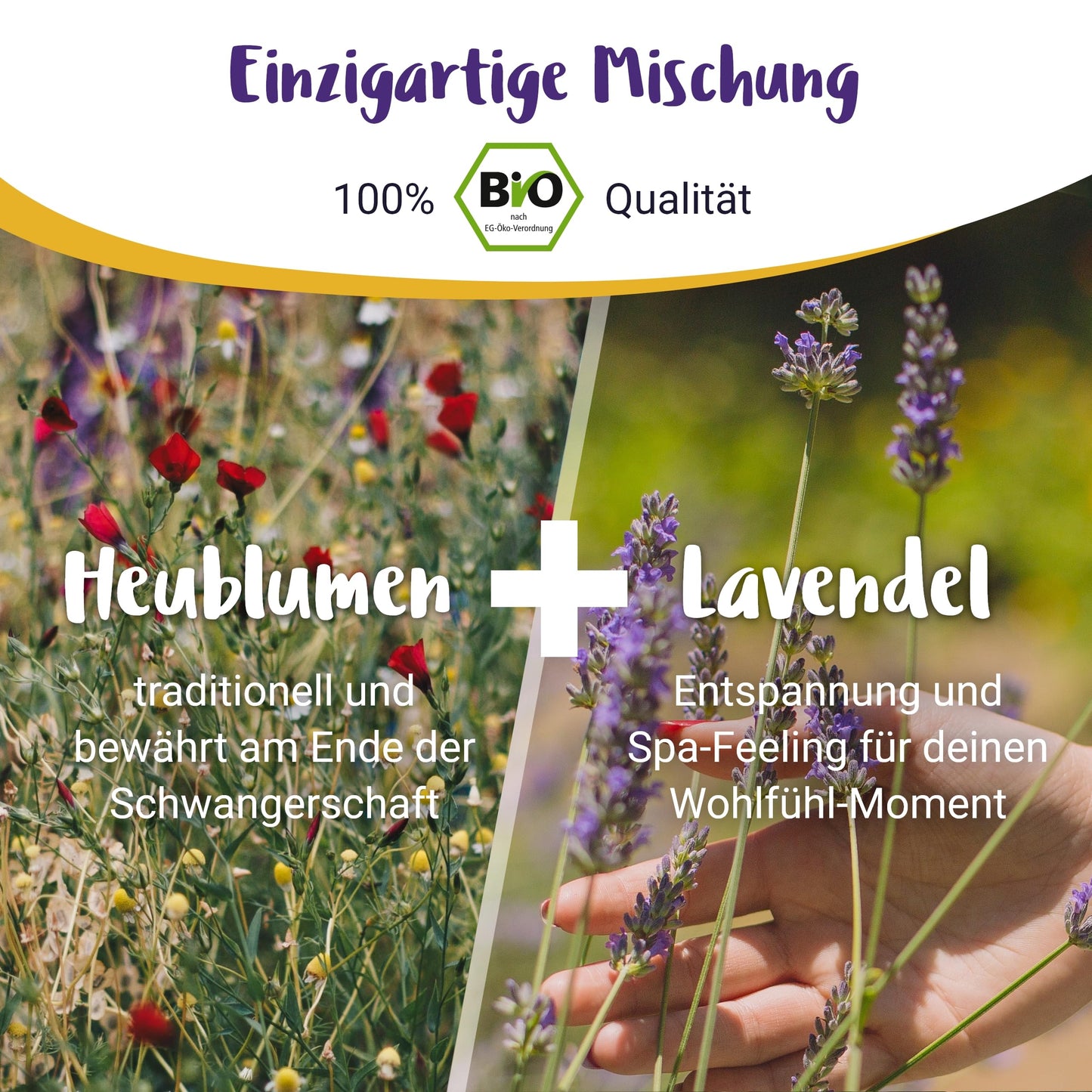 100% BIO Heublumen Sitzbad Schwangerschaft | Heublumenbad zur Geburtsvorbereitung ab der 37. SSW - PregniVital®