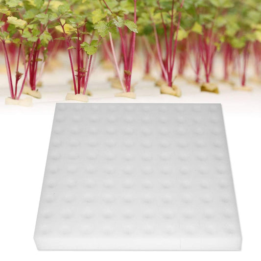 100 Stück Hydroponische Schwammpflanzung, quadratische Sämlingsschwämme für das Gewächshaus für das Wachstum kleiner Knospen oder das Wachsen von Sämlingen