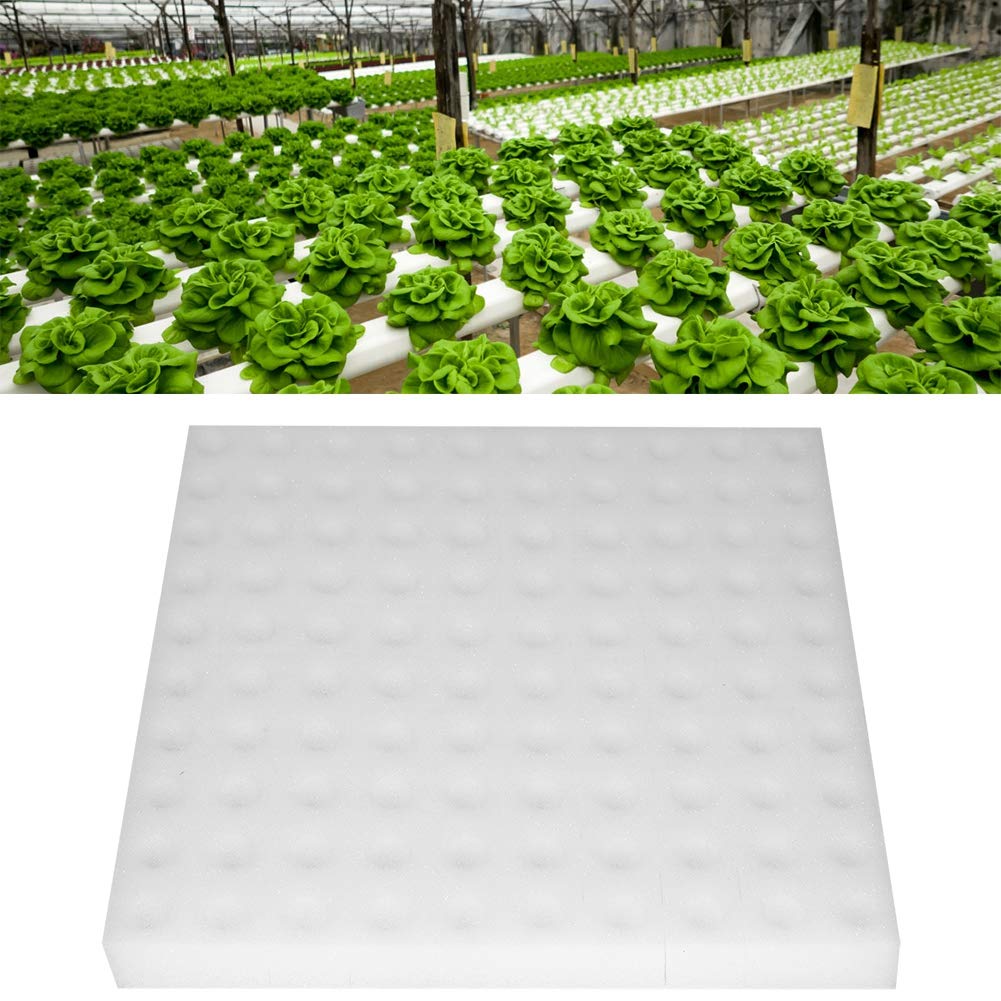 100 Stück Hydroponische Schwammpflanzung, quadratische Sämlingsschwämme für das Gewächshaus für das Wachstum kleiner Knospen oder das Wachsen von Sämlingen