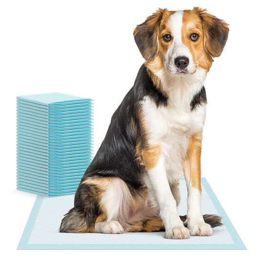 200x ARNOMED Welpen Unterlagen, Welpen Zubehör, auslaufsicheres Hundeklo in 60x90cm, Hundezubehör für kleine Hunde, Einweg Welpenunterlagen saugfähig, 5-lagige PIPI Matten für Hunde, Puppy Pads